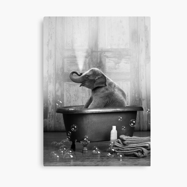 Elephant in Bathtub Canvas Print