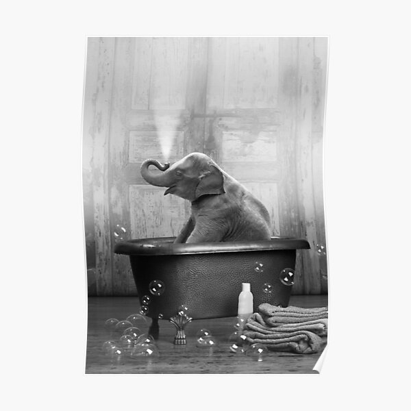 Elephant in Bathtub Poster
