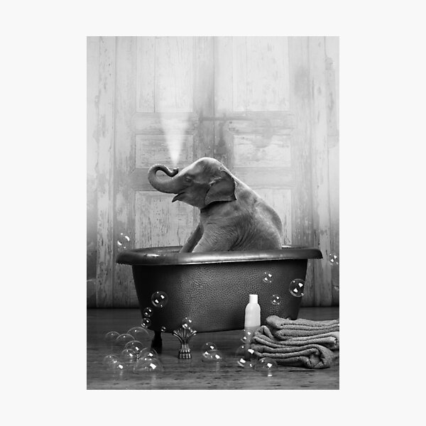 Elephant in Bathtub Photographic Print
