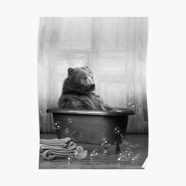 Bear in Bathtub Poster