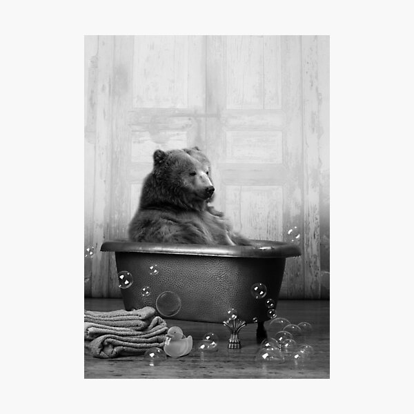 Bear in Bathtub Photographic Print