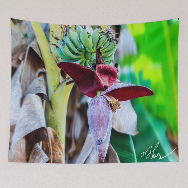 Item preview, Banana Flower  designed and sold by Karenni.
