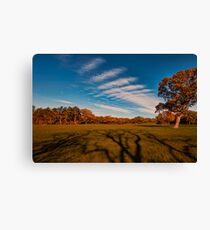 Long Shadow Canvas Print