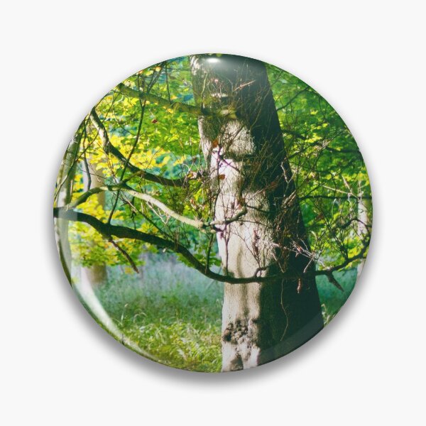 Item preview, Two Beech Trees in a Wood designed and sold by FOLK ART FUSION by heidiannemorris.