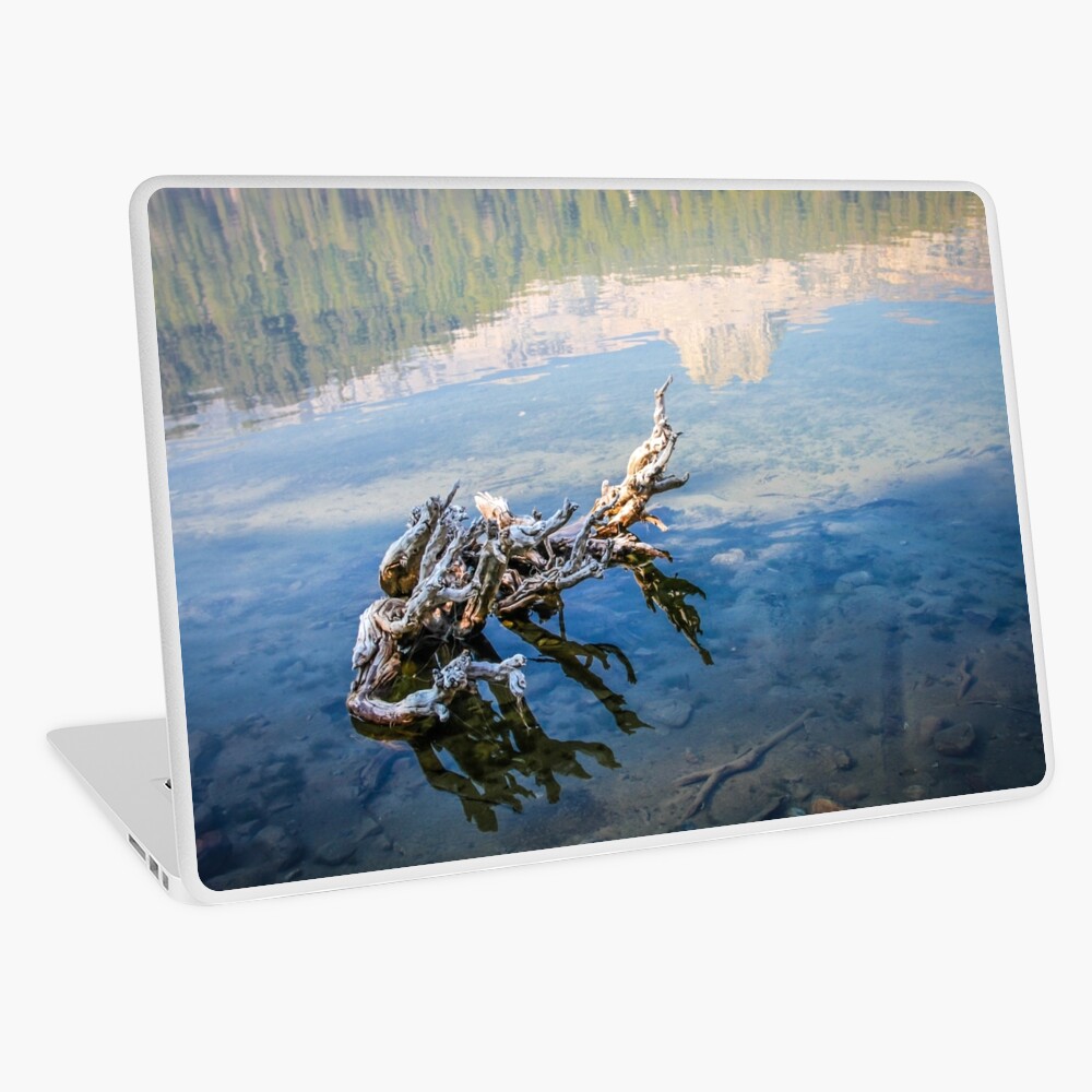 Item preview, Laptop Skin designed and sold by littleoldhag.