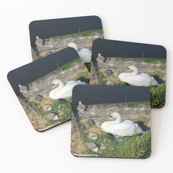 Item preview, Swan and Cygnets designed and sold by Guy Christophe Tixier.