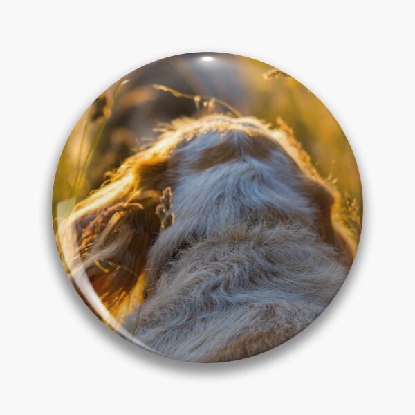 Item preview, Summer adventure Spinoni by heidiannemorris designed and sold by FOLK ART FUSION by heidiannemorris.