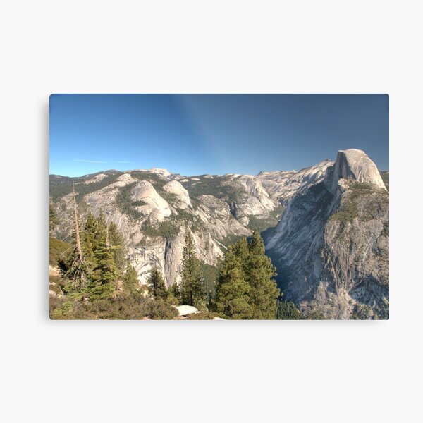 The View Metal Print