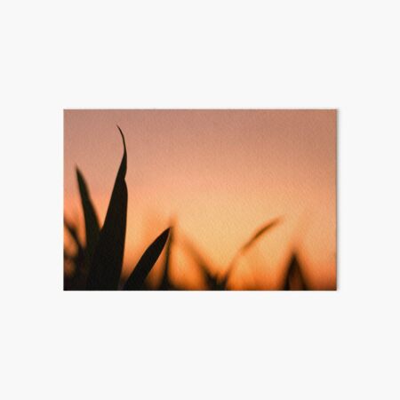 Orange Sunset Art Board Print