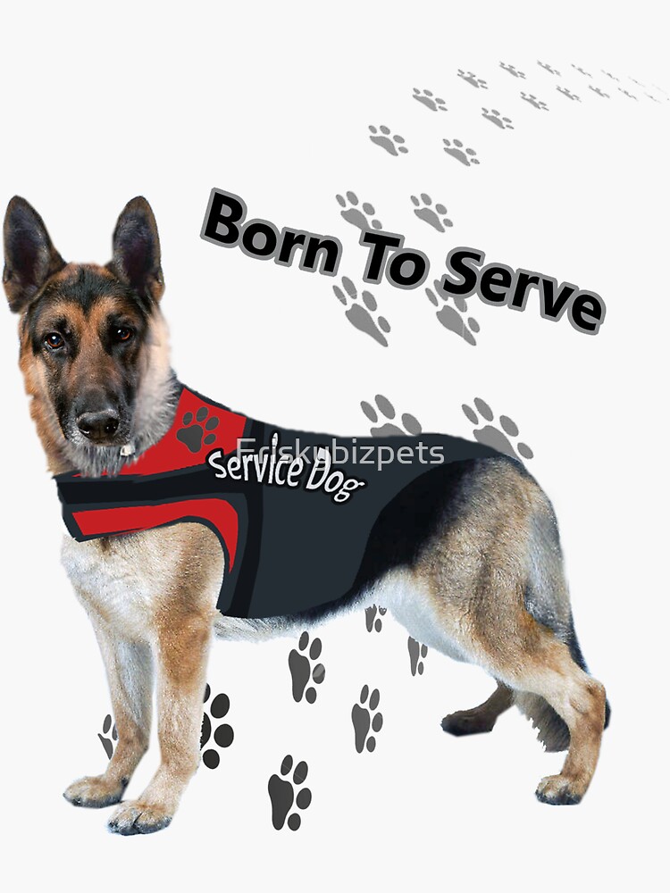german shepherd service dog training for disabled veterans