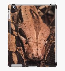 Sleeping? iPad Case/Skin