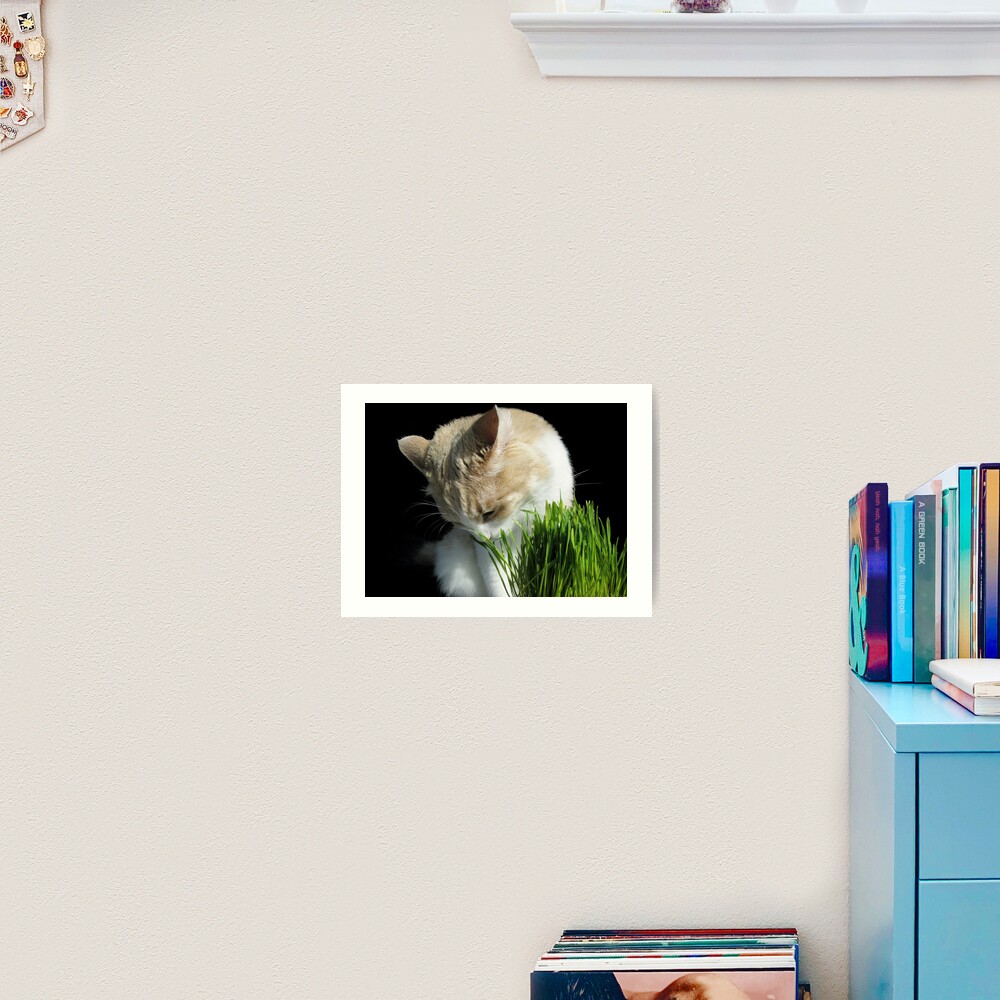 A Treat Art Print