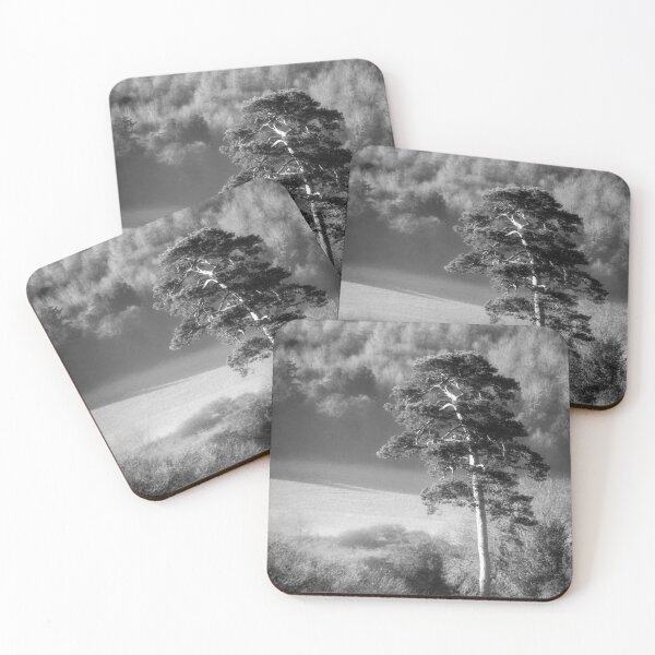 Item preview, Scots Pine Tree designed and sold by FOLK ART FUSION by heidiannemorris.