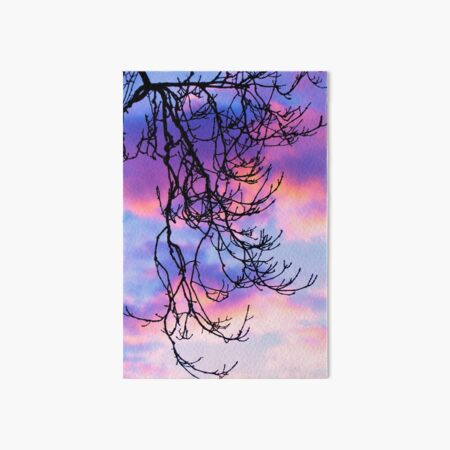 Ash Tree Sunset Silhouette Art Board Print