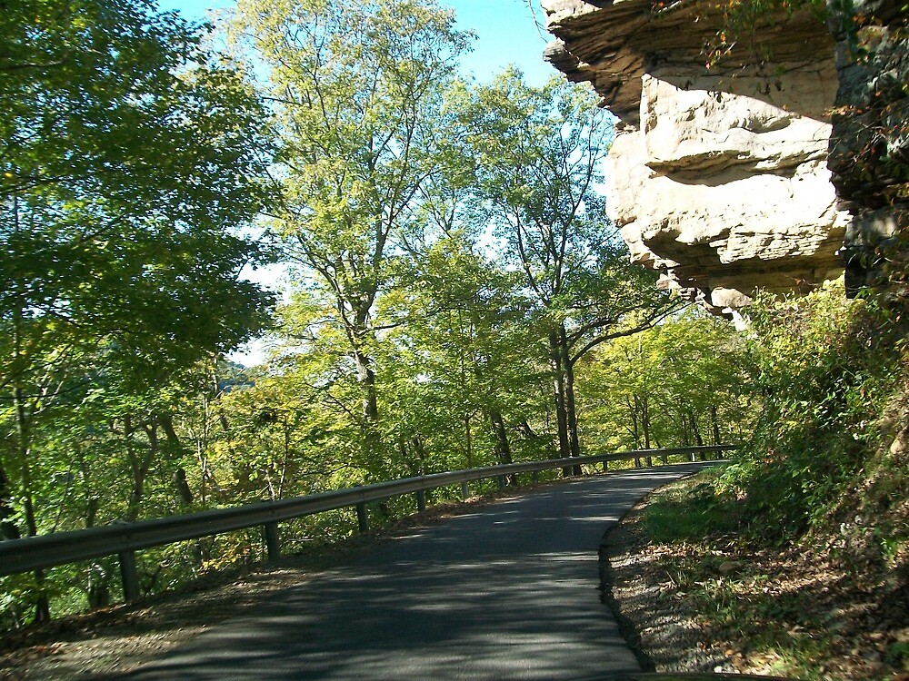 "Country Mountain Road in West Virginia" by dww25921 Redbubble