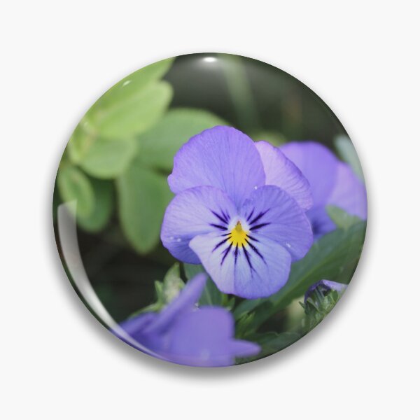Item preview, Violets | photography designed and sold by SveaLeona.