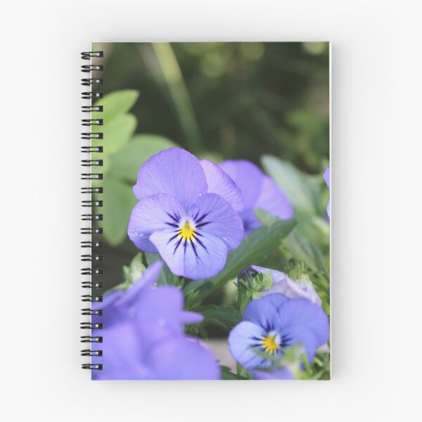 Item preview, Violets | photography designed and sold by SveaLeona.