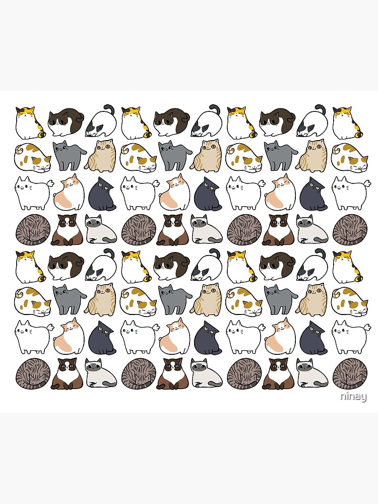 Cats Cats Cats by ninay