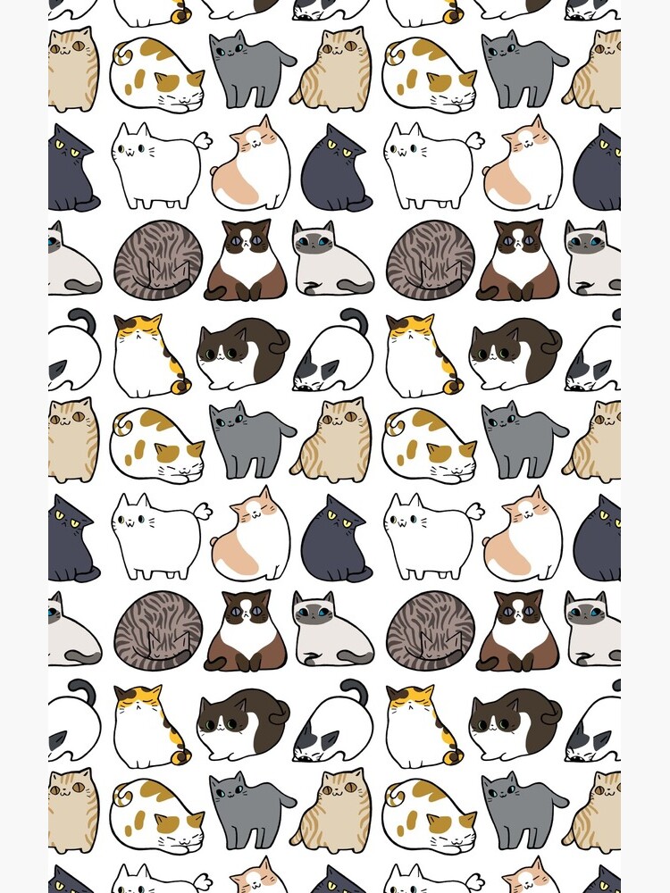 Cats Cats Cats by ninay