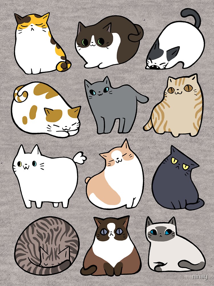 Cats Cats Cats by ninay