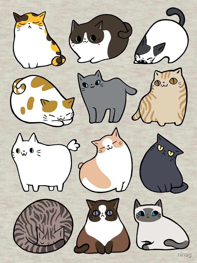 Cats Cats Cats by ninay