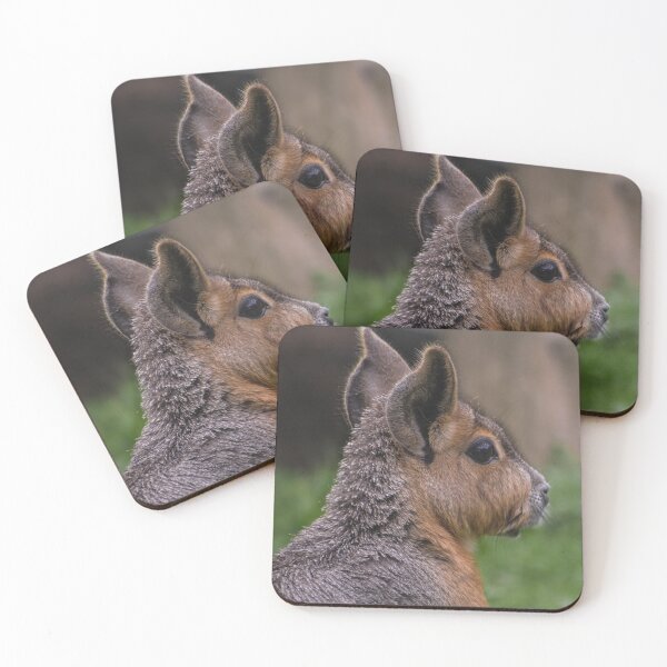 Item preview, Patagonian Mara designed and sold by KcsArt87.