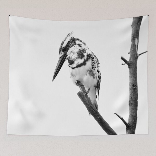 Item preview, Pied Kingfisher at Dawn - Wildlife Black & White Photography designed and sold by John Hodges.