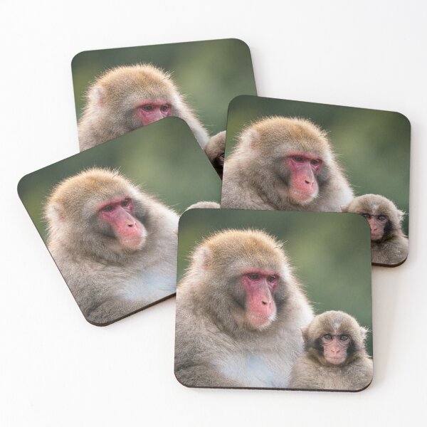 Item preview, Macaque monkeys in Japan designed and sold by Alistair Wilson.