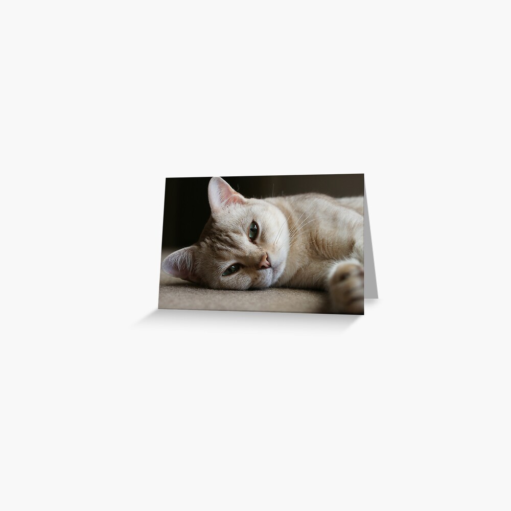 oliver Greeting Card
