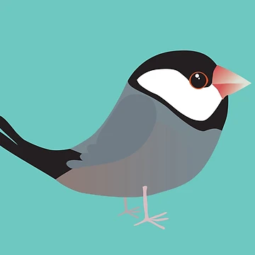 Artwork thumbnail, Cute java sparrow by Bwiselizzy