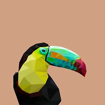 Artwork thumbnail, LP Toucan by AliceTWD