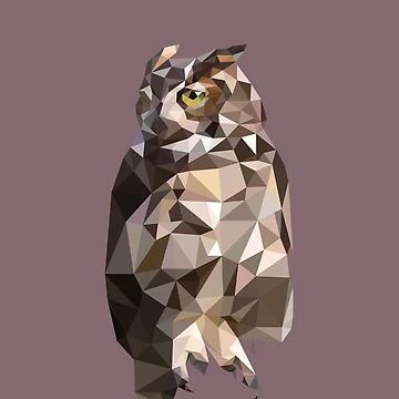 Artwork thumbnail, LP Owl by AliceTWD
