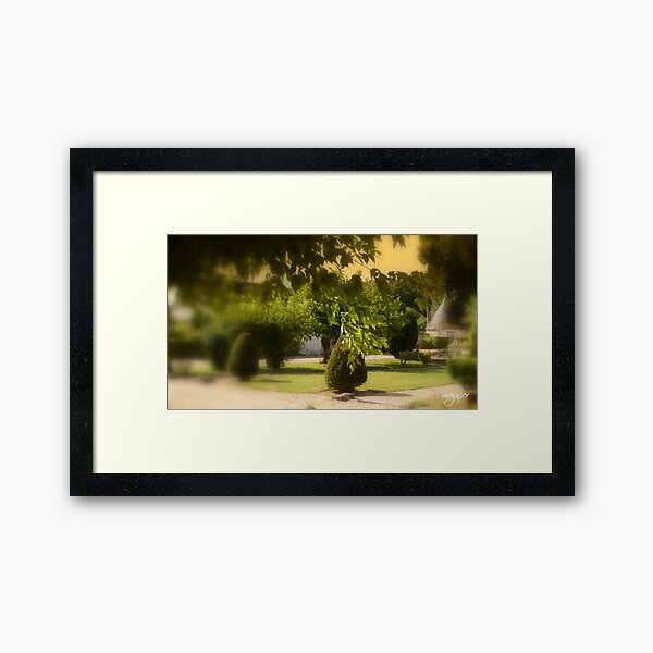 La Voûte 4 Framed Art Print