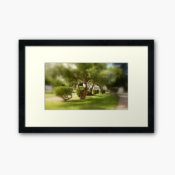 La Voûte 5 Framed Art Print