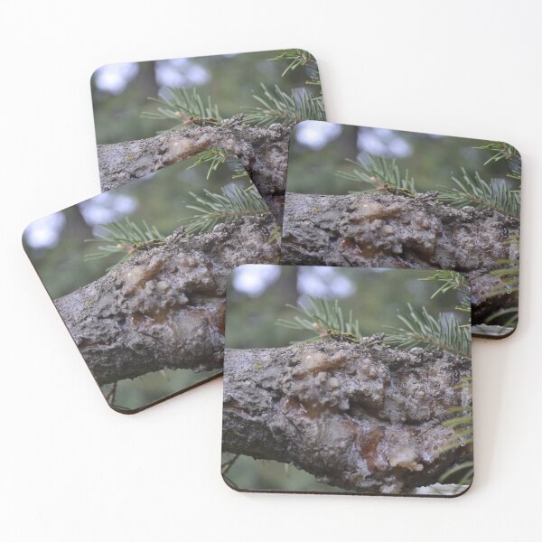 Item preview, Pine Sap Photo designed and sold by Mina Arts Apparently.
