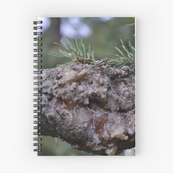 Item preview, Pine Sap Photo designed and sold by Mina Arts Apparently.