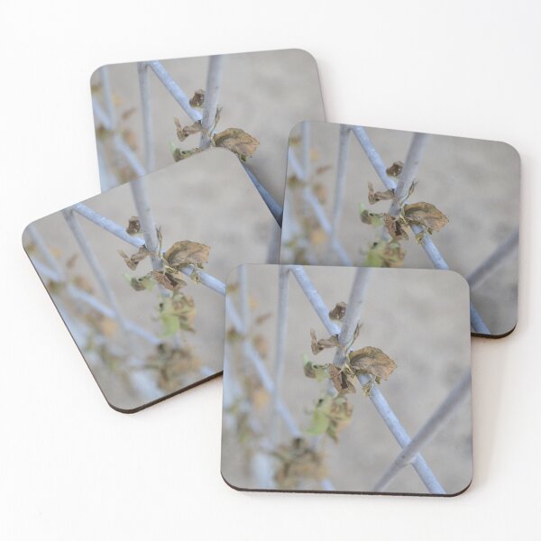 Item preview, Climbing Vine designed and sold by Mina Arts Apparently.