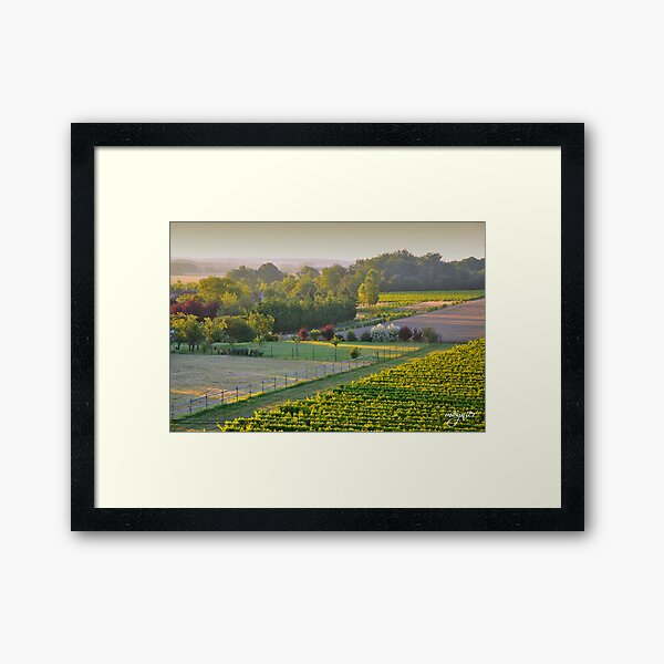 La Voûte 11 Framed Art Print