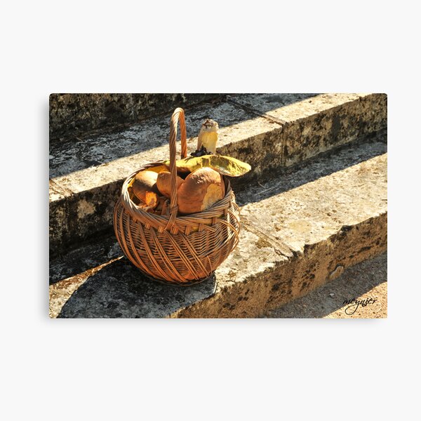 La Voûte 16 Canvas Print