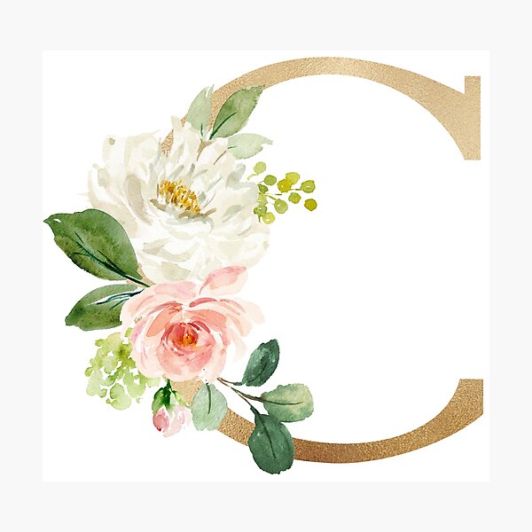 Letter C Monogram - Faux gold foil and pink and white flowers and green leaves Photographic Print
