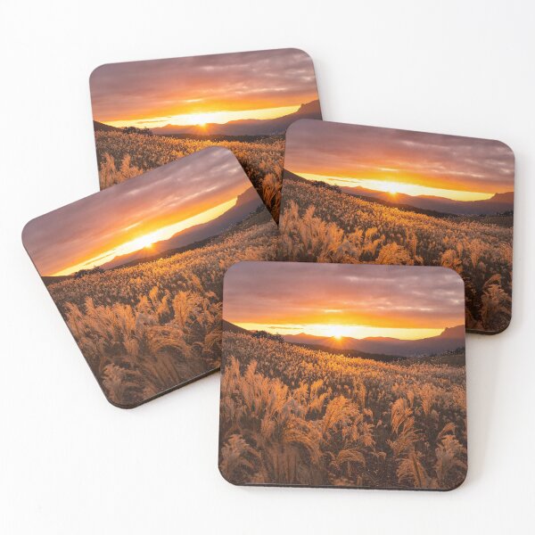 Item preview, Golden brush designed and sold by Alistair Wilson.