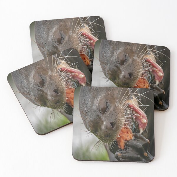 Item preview, Fish For Dinner designed and sold by Darren Wilkes.