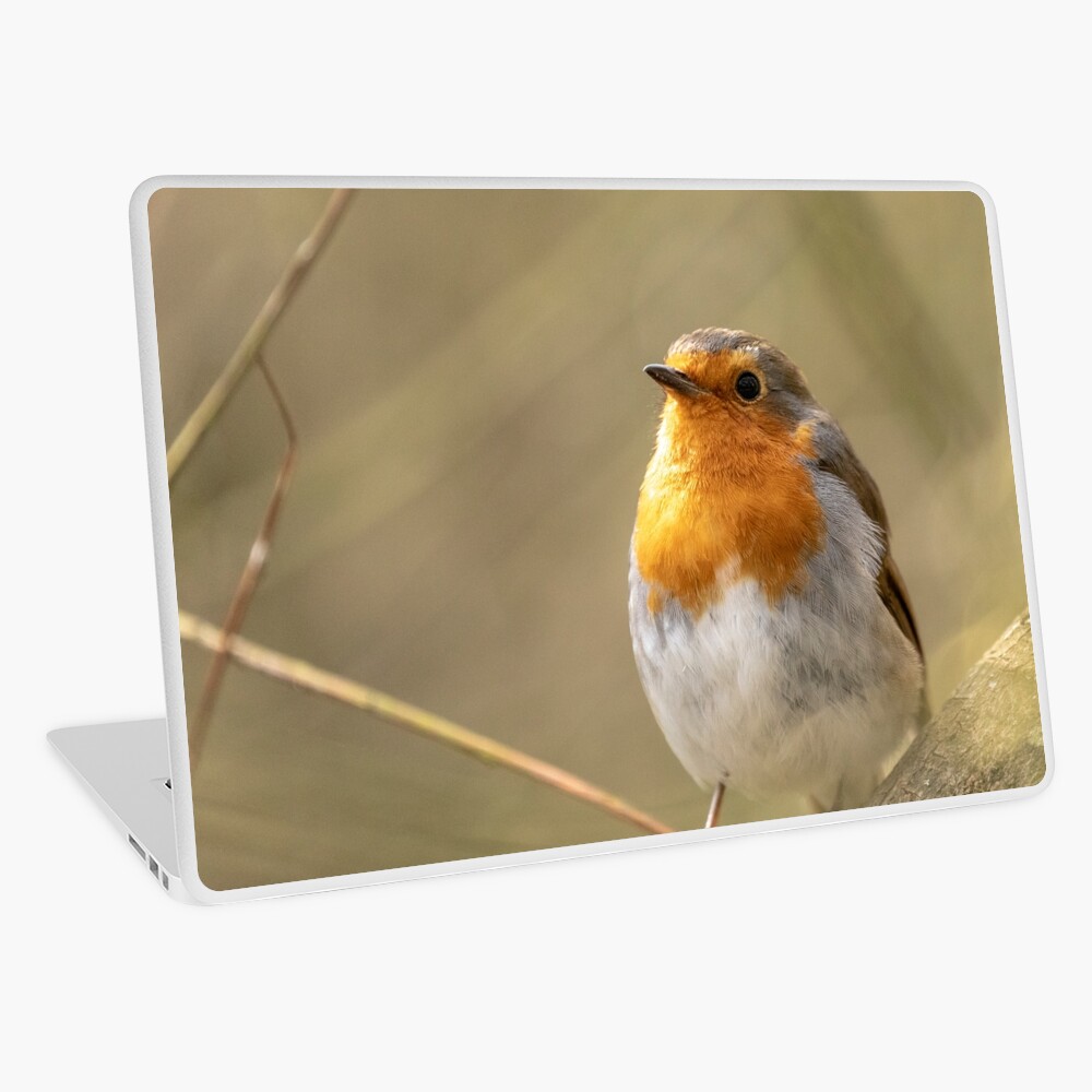Item preview, Laptop Skin designed and sold by AYatesPhoto.