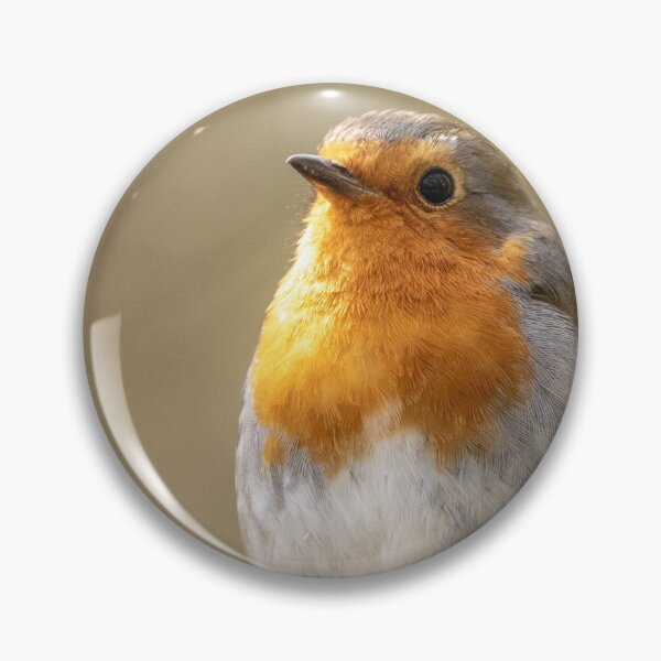 Item preview, Robin looking up designed and sold by AYatesPhoto.