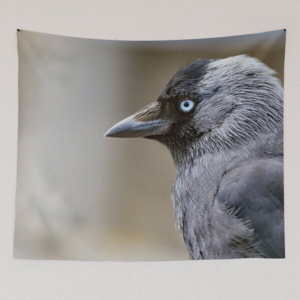 Item preview, Jackdaw Corvid - Fotografía de aves designed and sold by John Hodges.