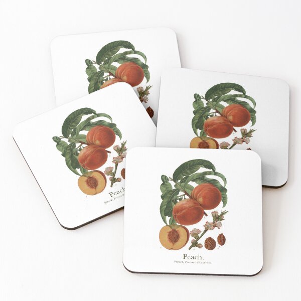 Item preview, Peach Vintage Botanical Illustration Poster  designed and sold by harnas-design.