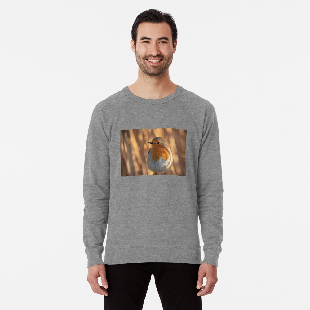 Item preview, Lightweight Sweatshirt designed and sold by AYatesPhoto.