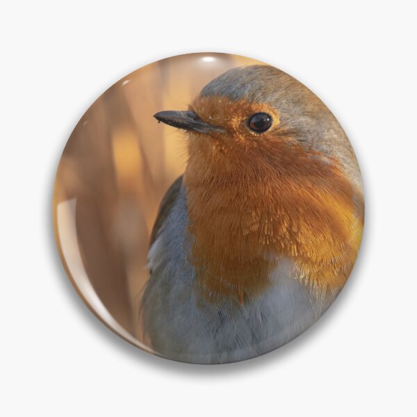 Aperçu de l'œuvre  une image onirique remplie de lumière et d'ombre naturelles.
Une image paisible pour tous les amoureux de la nature et les amateurs d'oiseaux.
Fait partie de la collection robin de A Yates Photos.
 créée et vendue par AYatesPhoto.