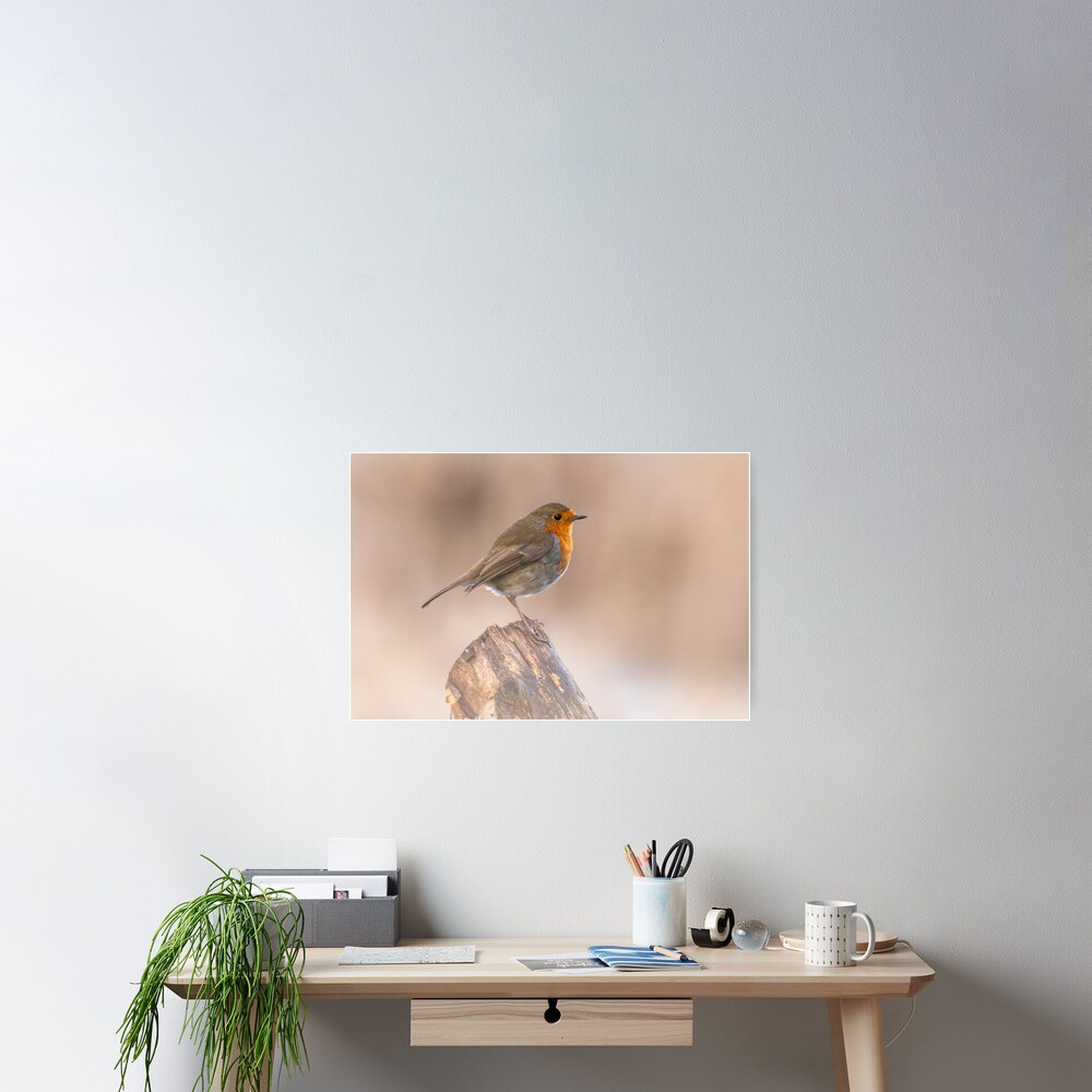Item preview, Poster designed and sold by AYatesPhoto.