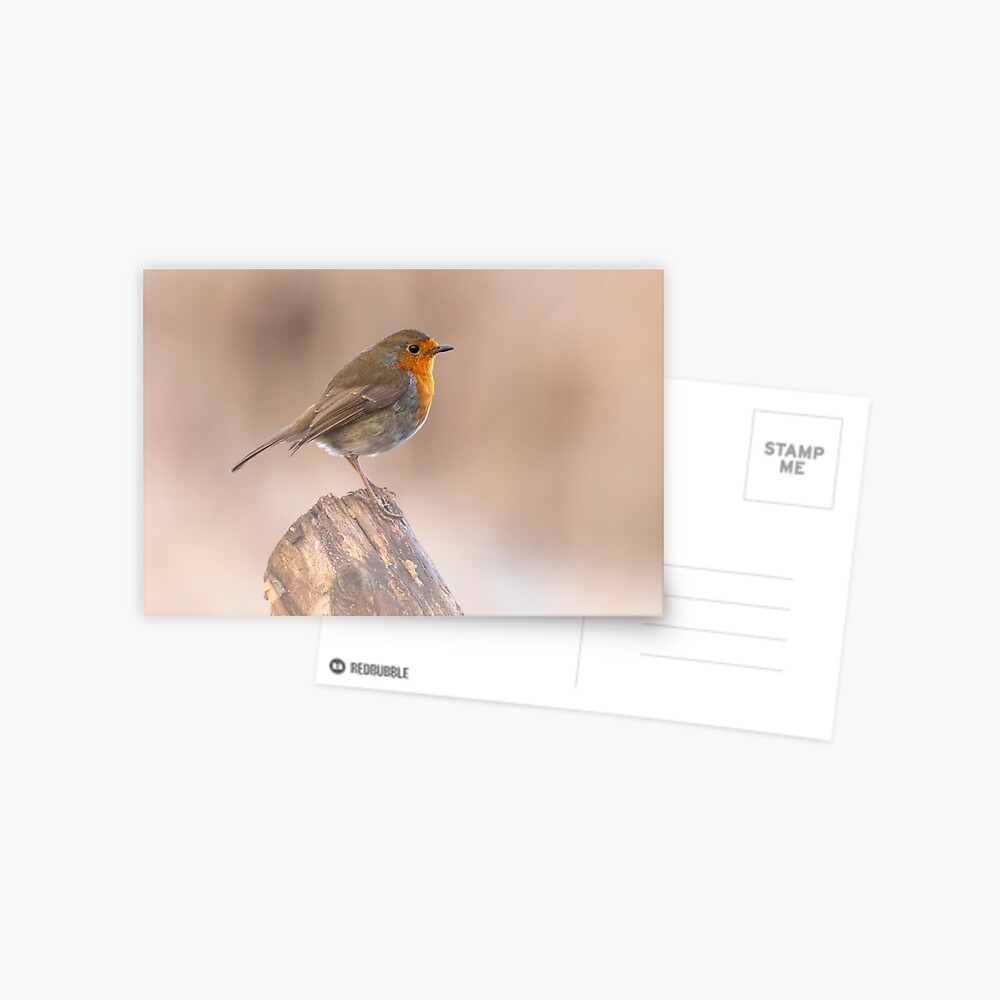 Item preview, Postcard designed and sold by AYatesPhoto.